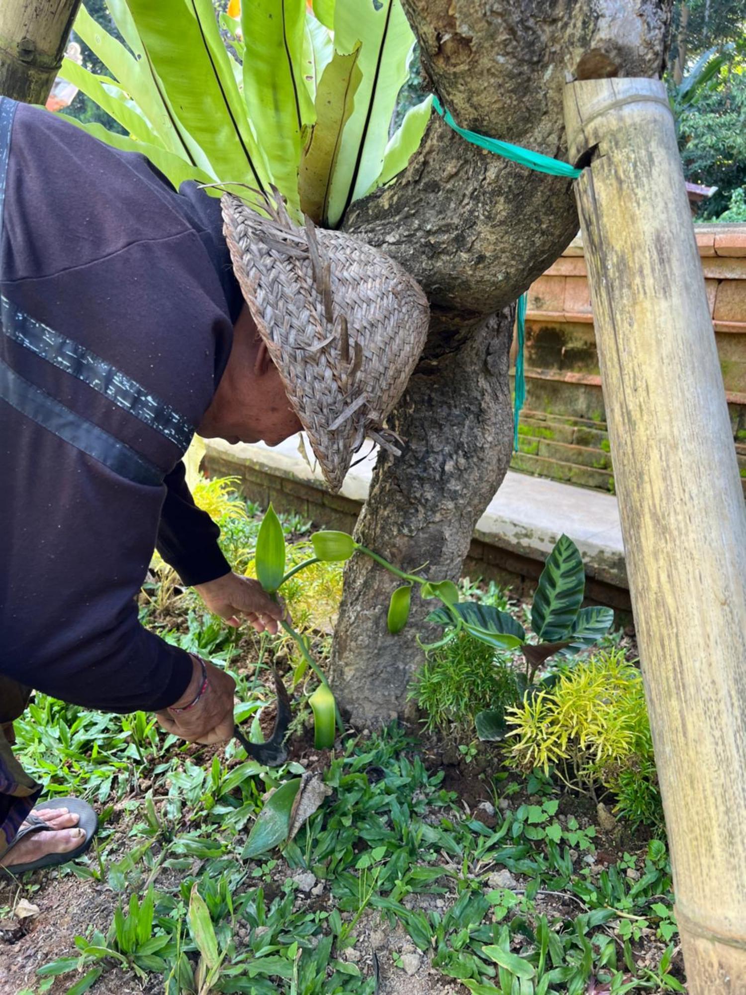 Pondok Manca Undisan Ngoại thất bức ảnh